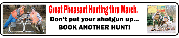 Book phesant hunt now